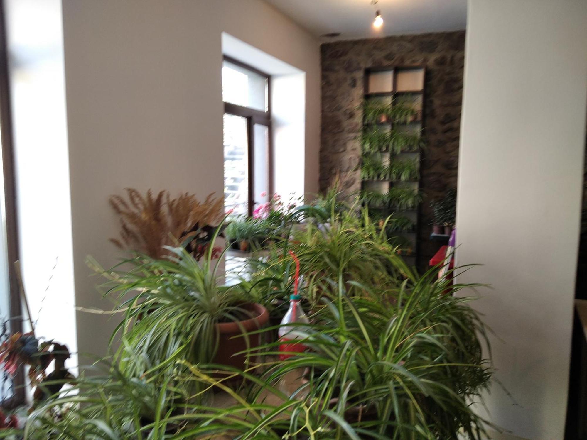 Aia Kazbegi Hotel Luaran gambar